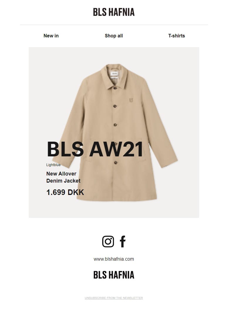 BLS email-block.jpeg